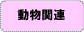 �����֘A
